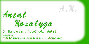 antal mosolygo business card